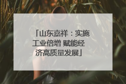 山东嘉祥：实施工业倍增 赋能经济高质量发展